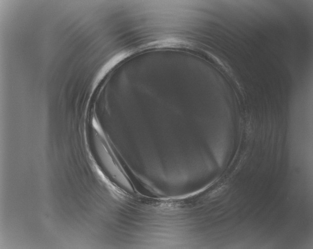 X0000076081418200610202028