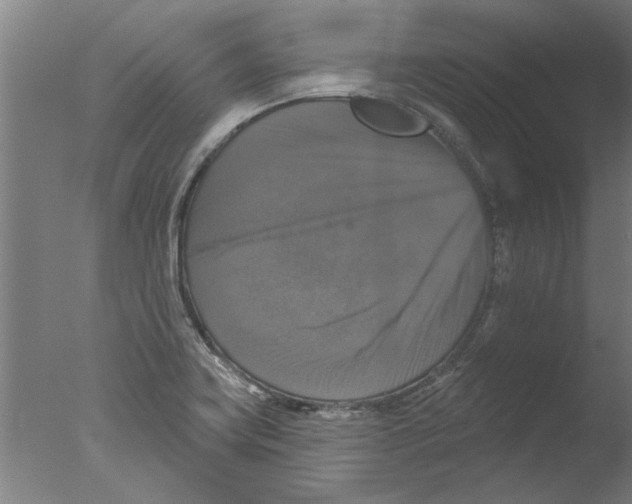 X0000076081419200610202028