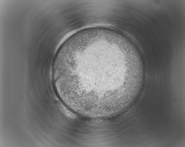 X0000076081420200610202028