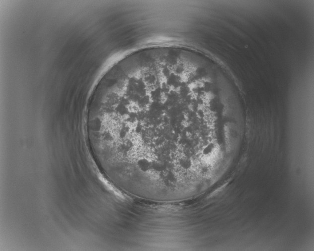 X0000076081421200610202028