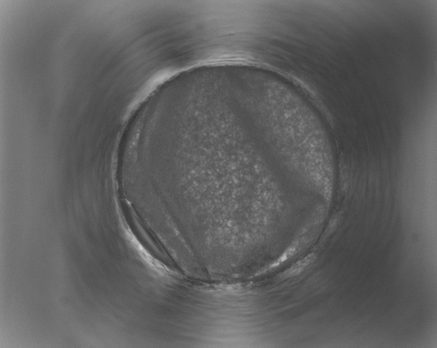 X0000076081422200610202028