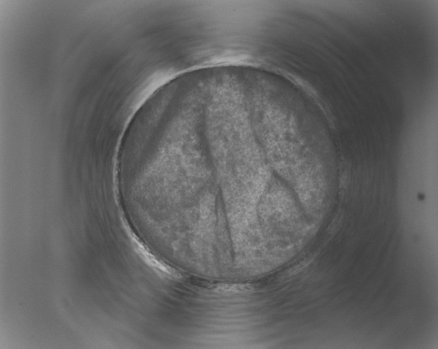 X0000076081423200610202028