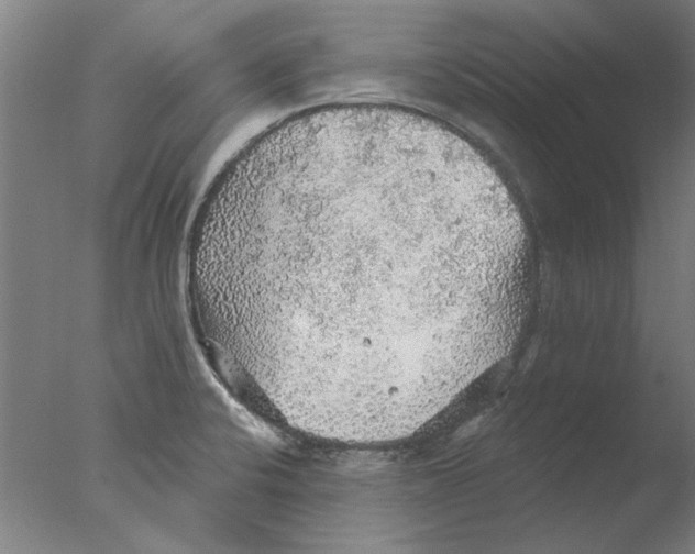 X0000076081424200610202028