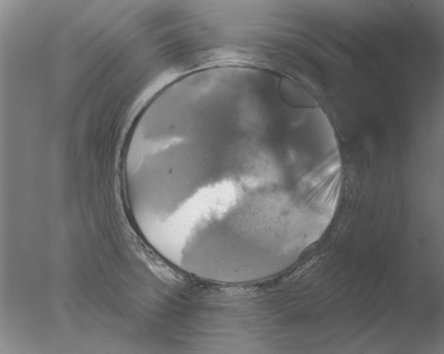 X0000076081427200610202028