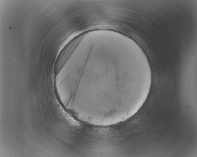 X0000076081428200610202028