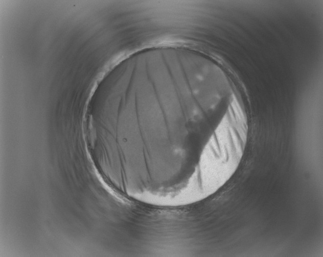 X0000076081429200610202028