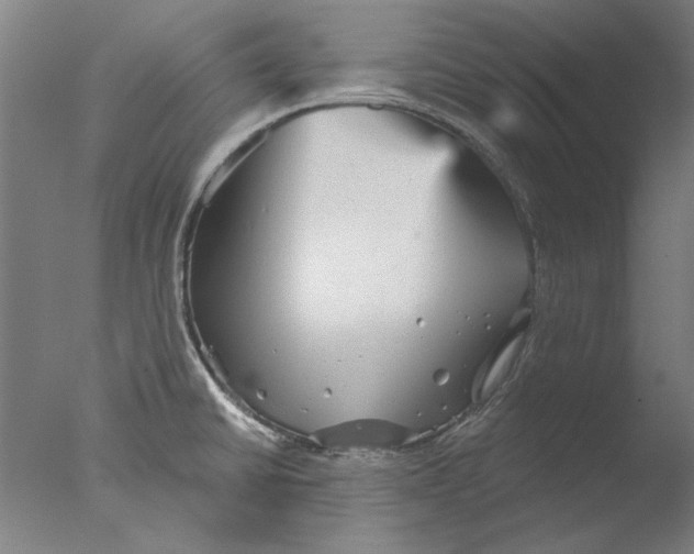 X0000076081430200610202028