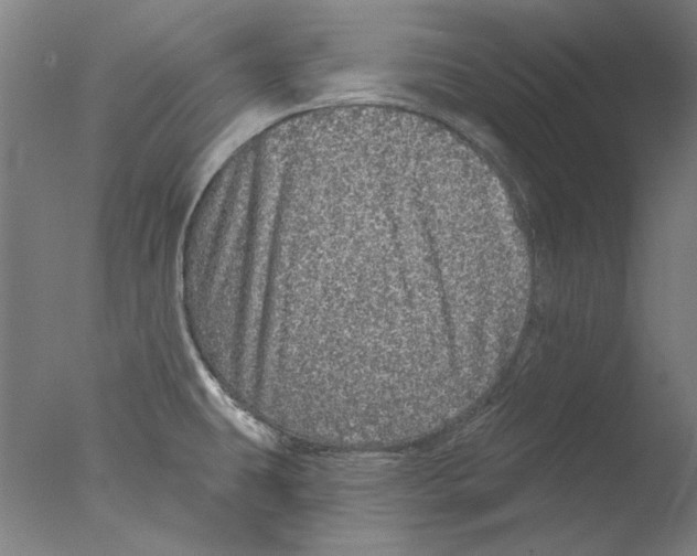 X0000076081431200610202028