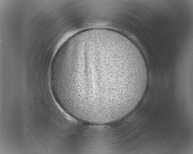 X0000076081432200610202029