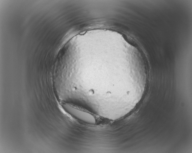 X0000076081433200610202029