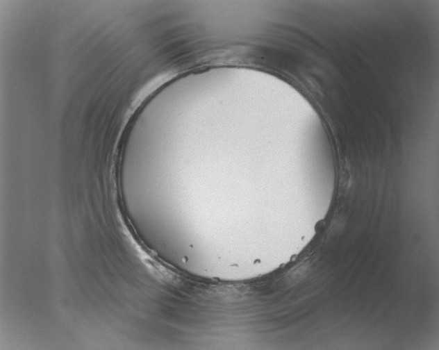 X0000076081434200610202029