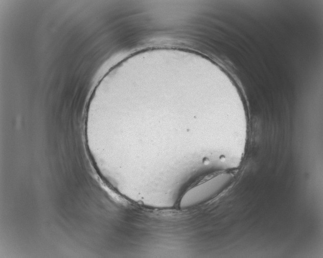 X0000076081437200610202029