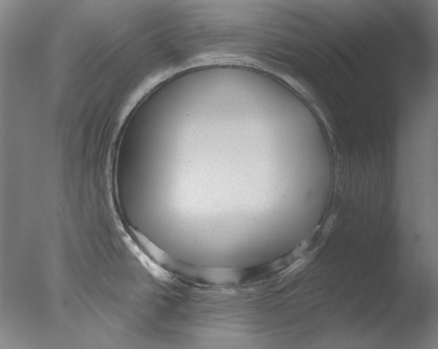 X0000076081438200610202029