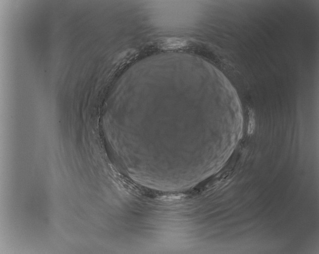 X0000076081441200610202028