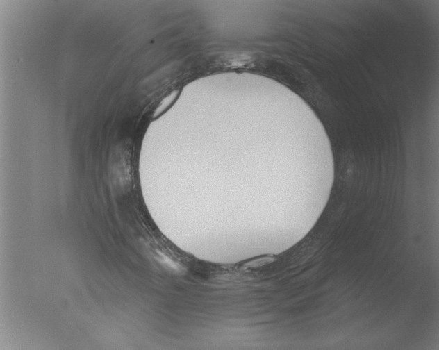 X0000076081442200610202028