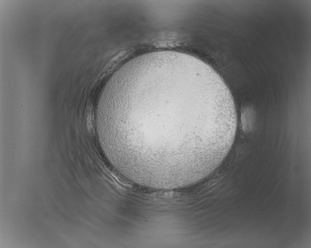 X0000076081444200610202028