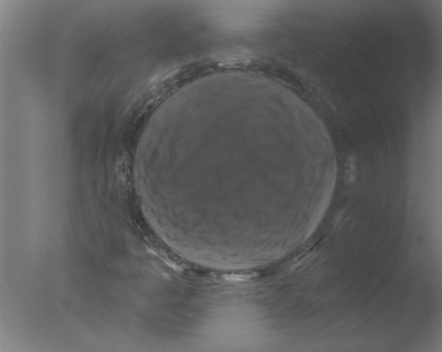 X0000076081445200610202028