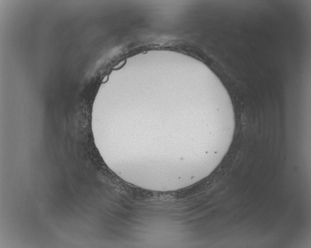 X0000076081447200610202028