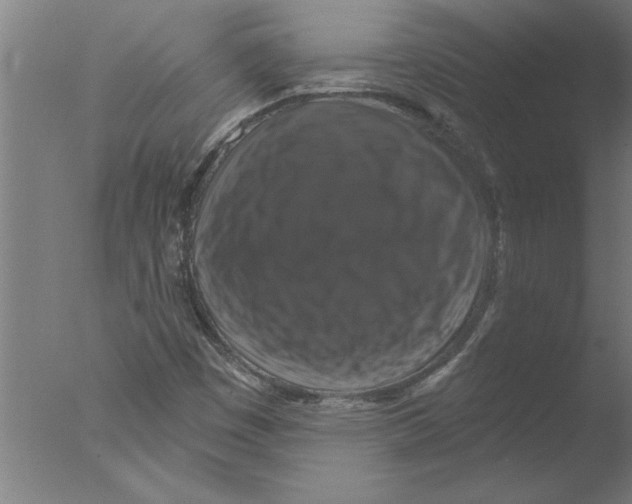 X0000076081449200610202028