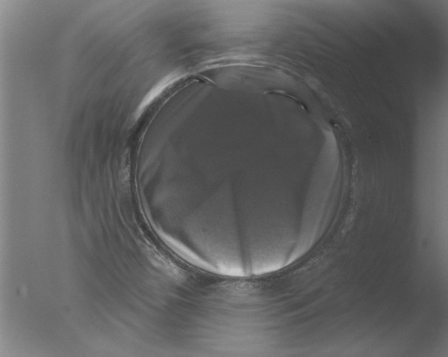 X0000076081450200610202028