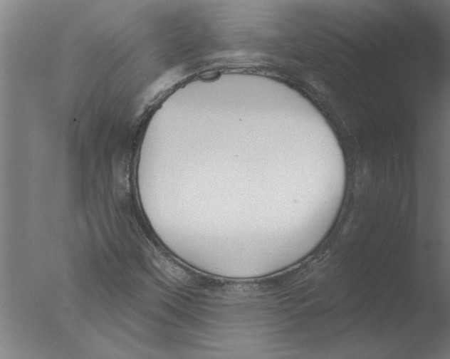 X0000076081451200610202028