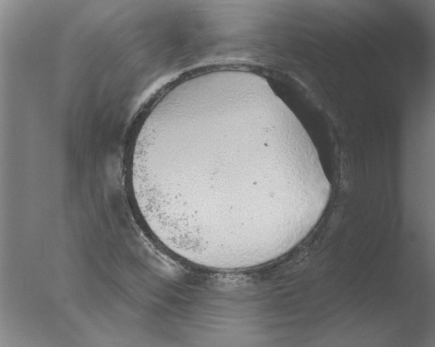 X0000076081452200610202028