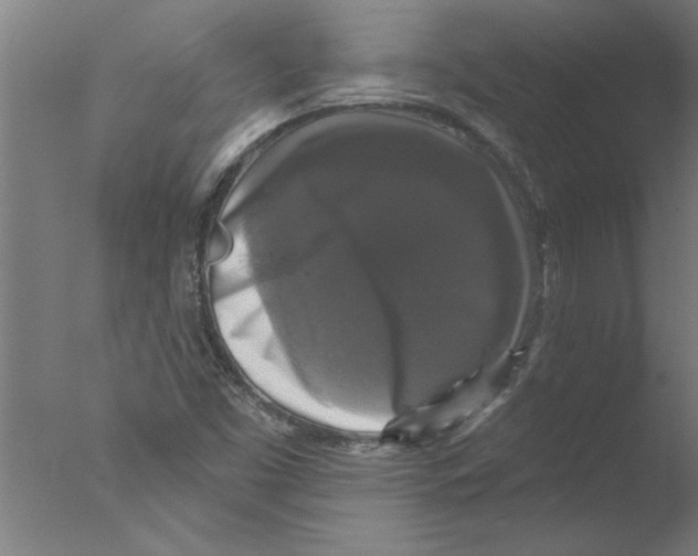 X0000076081453200610202028