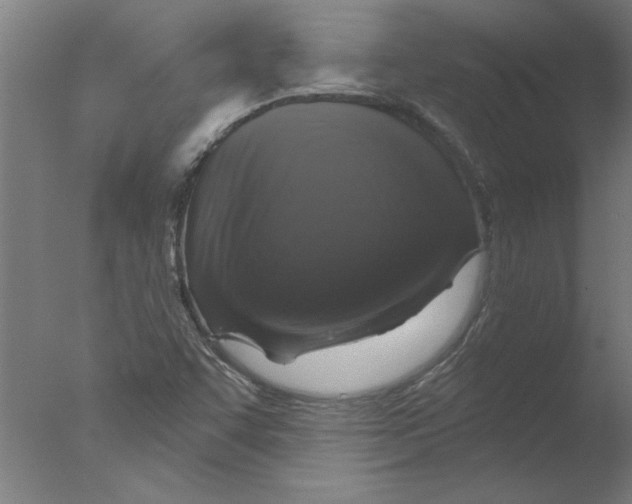 X0000076081455200610202028