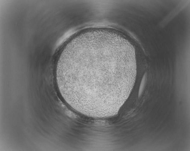 X0000076081456200610202028