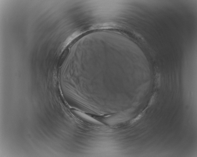 X0000076081457200610202028