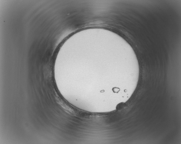 X0000076081458200610202028