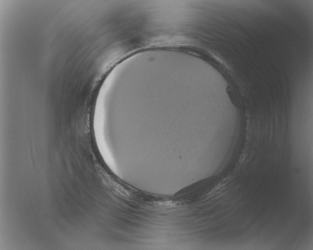 X0000076081459200610202028