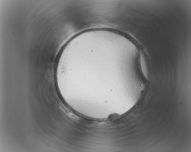 X0000076081460200610202027