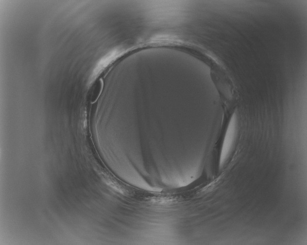 X0000076081461200610202027