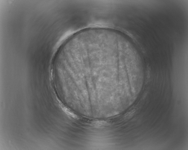 X0000076081462200610202027