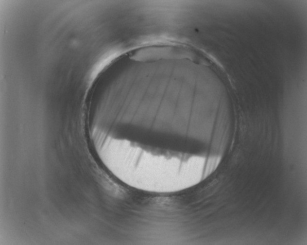 X0000076081463200610202027