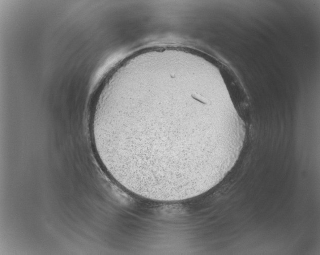 X0000076081464200610202027