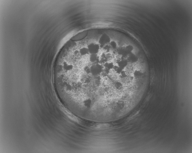 X0000076081467200610202027