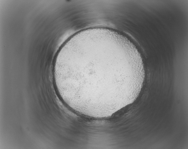 X0000076081468200610202027