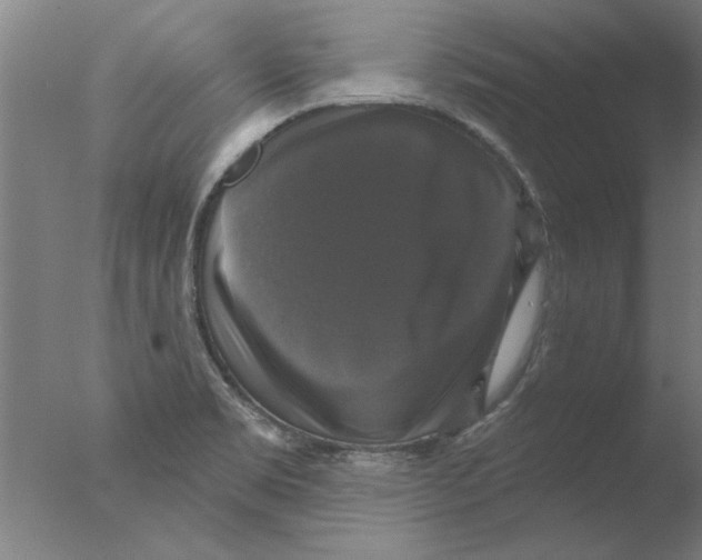 X0000076081469200610202027