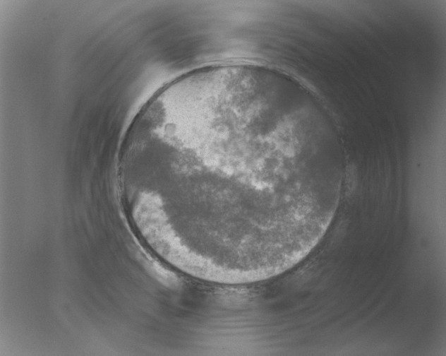 X0000076081470200610202027