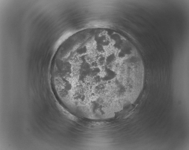 X0000076081471200610202027