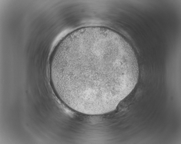 X0000076081472200610202027