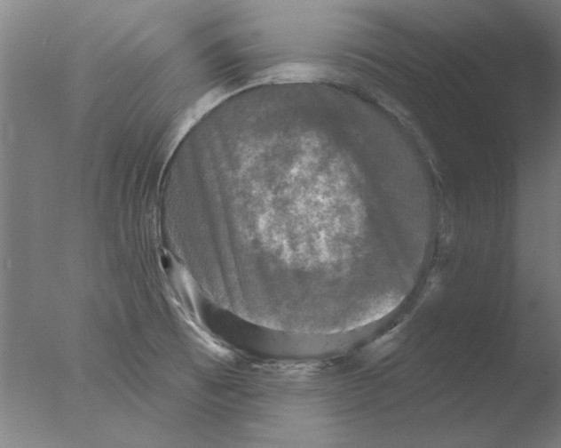 X0000076081473200610202027