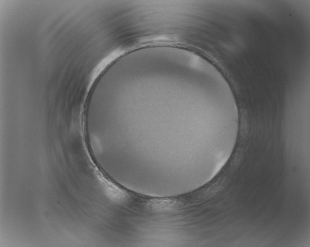 X0000076081474200610202027