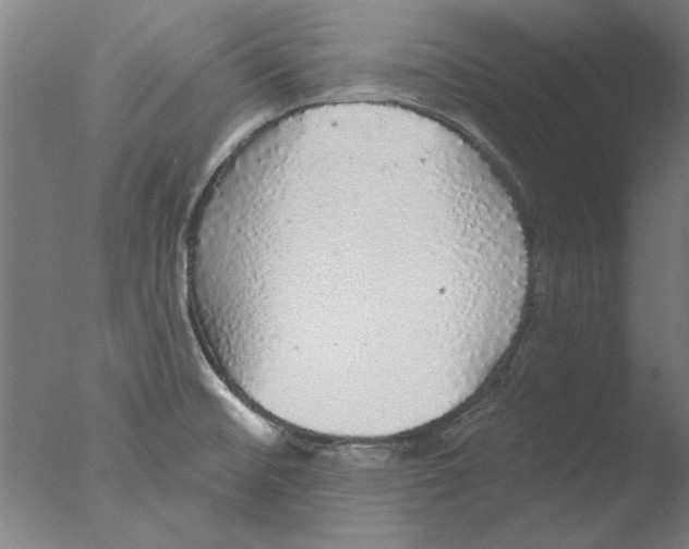 X0000076081476200610202027