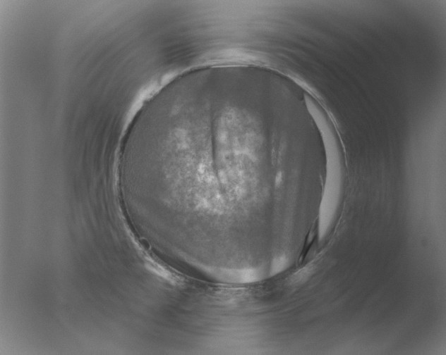 X0000076081477200610202027