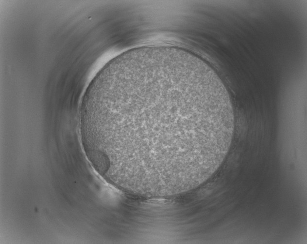 X0000076081478200610202027