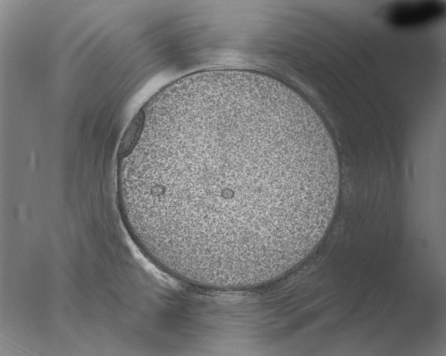 X0000076081479200610202027