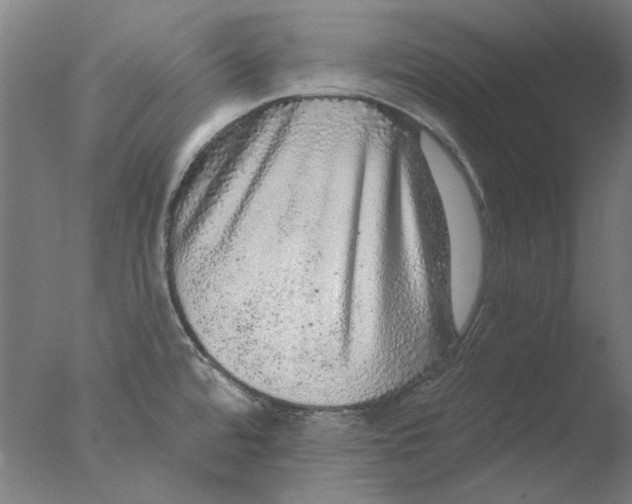 X0000076081480200610202027